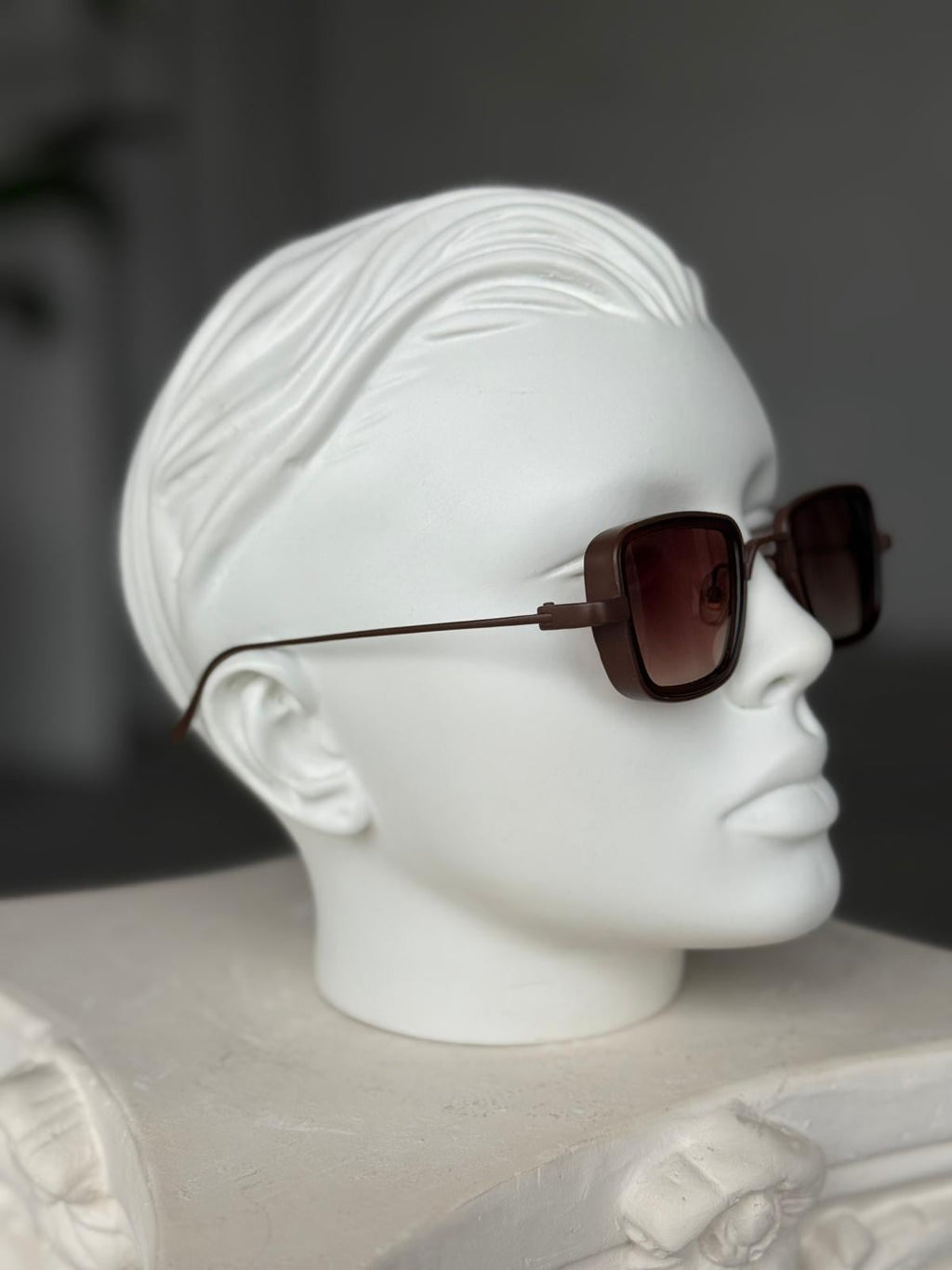 Brown Lens Brown Steel Frame Sunglasses