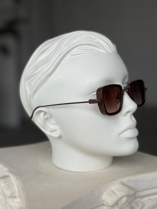 Brown Lens Brown Steel Frame Sunglasses