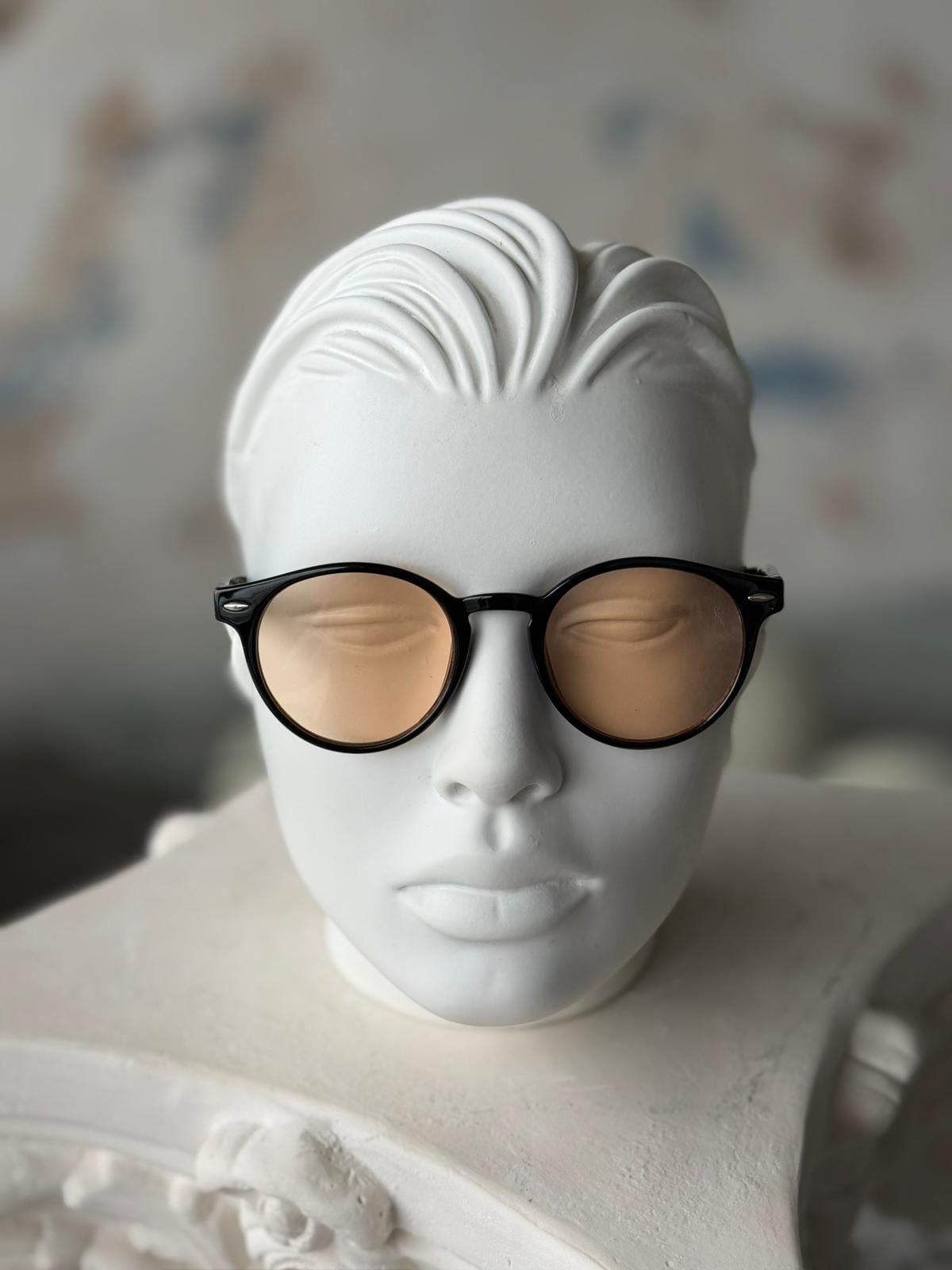 Clear Lens Black Frame Sunglasses