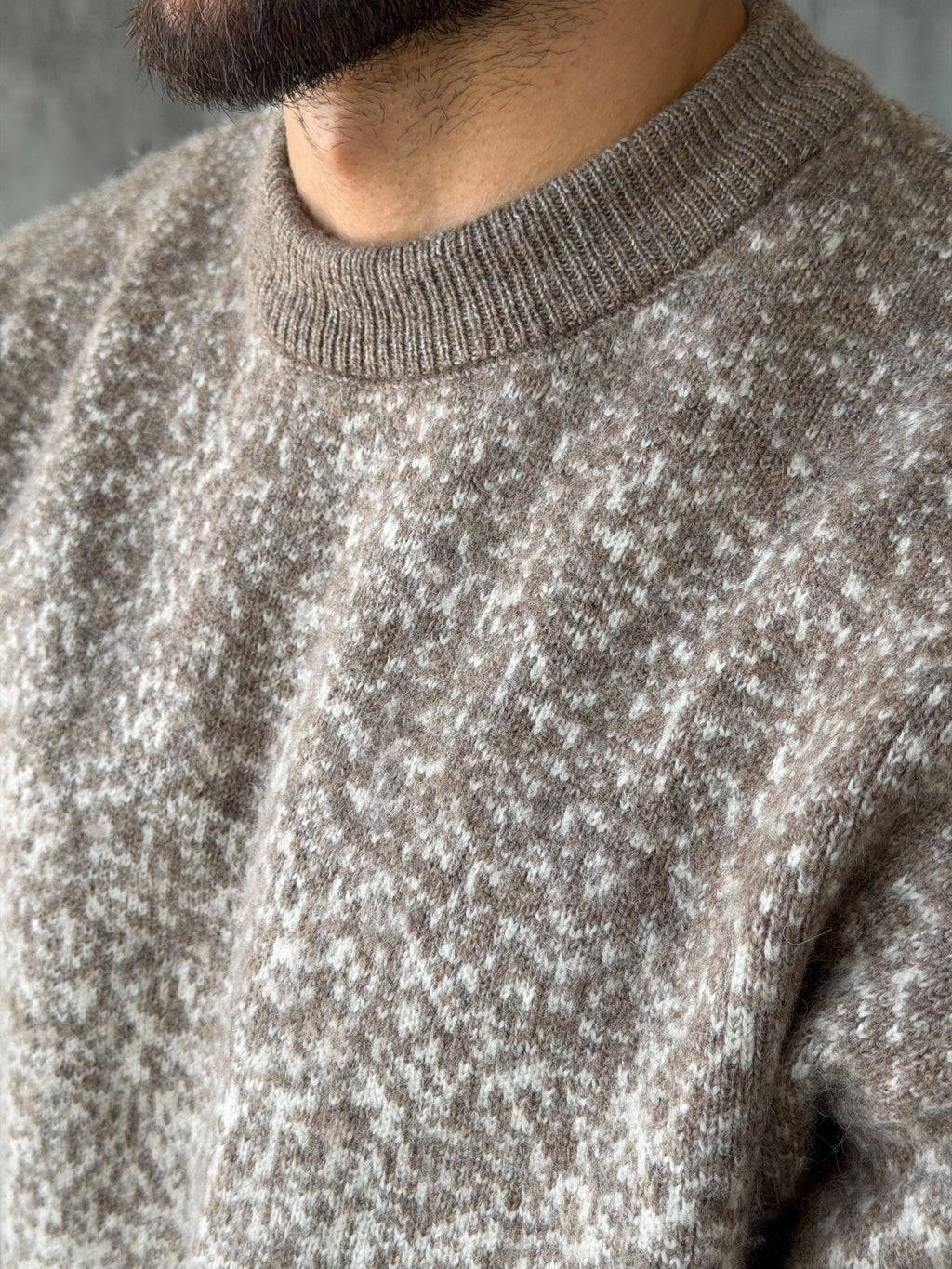 Gradient Pattern Crew Neck Knit Sweater – Brown