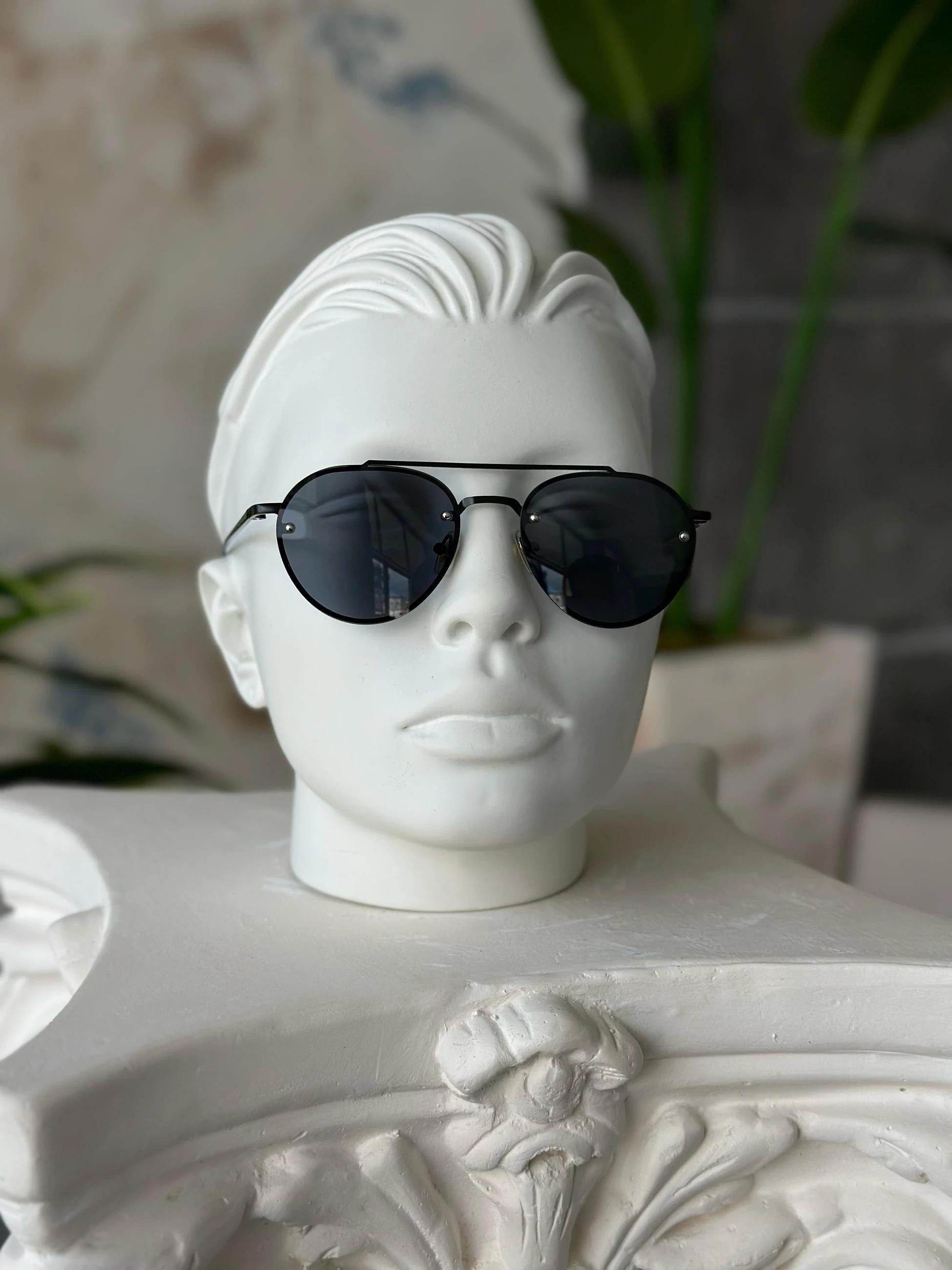 G101 Brown Lens Steel Frame Sunglasses